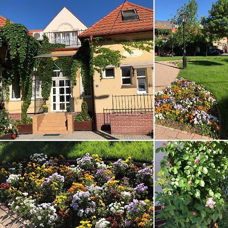 Tulipan Villa Panzio Szolnok Ngoại thất bức ảnh