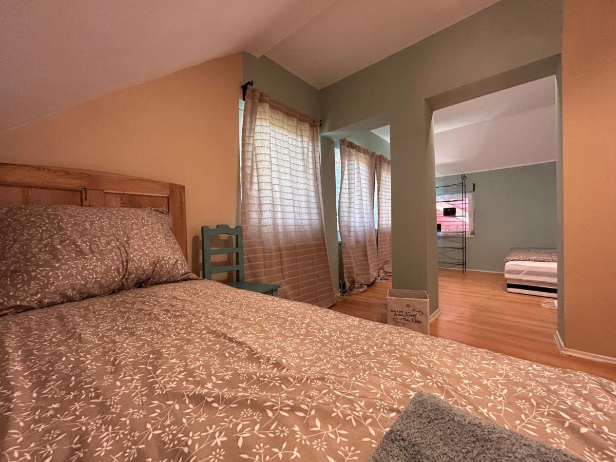 Tulipan Villa Panzio Szolnok Ngoại thất bức ảnh