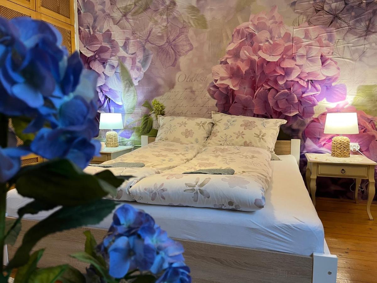 Tulipan Villa Panzio Szolnok Ngoại thất bức ảnh