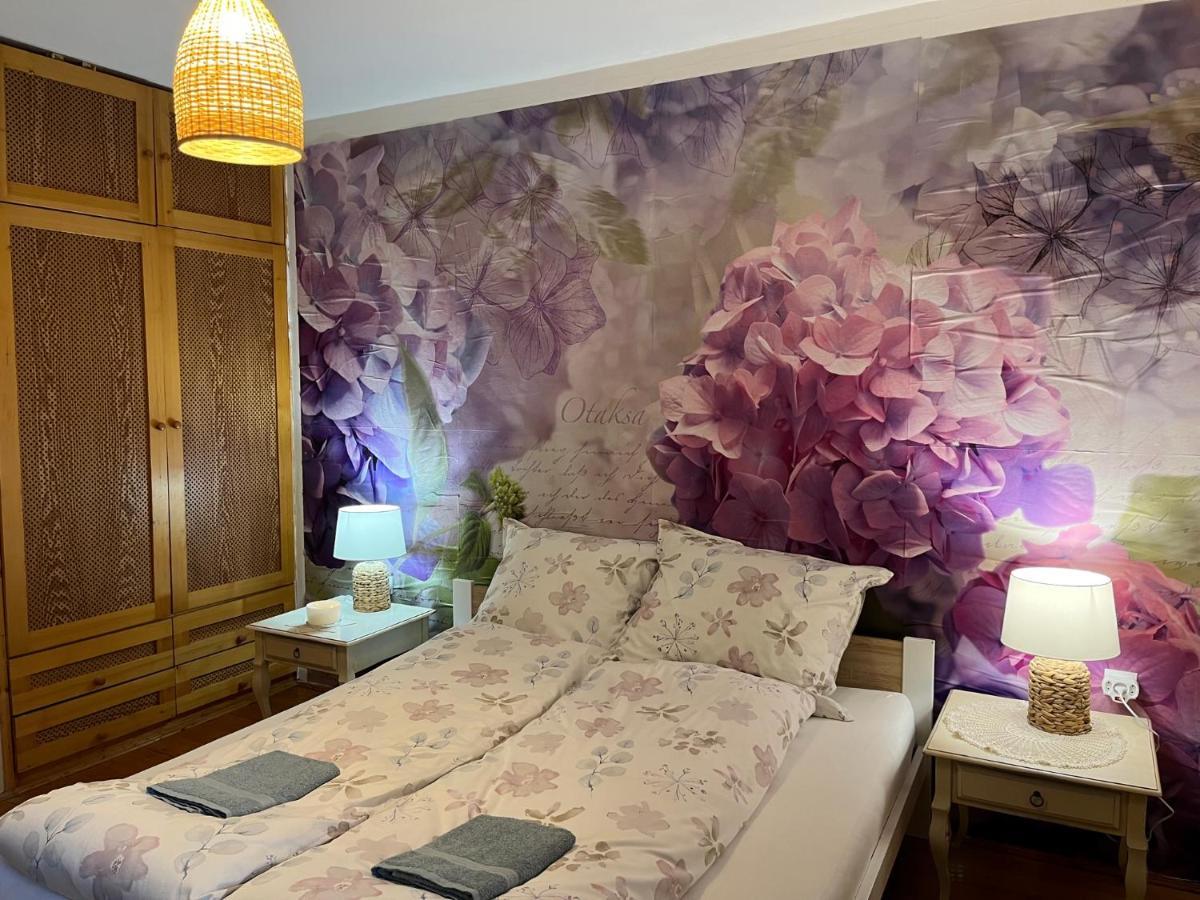 Tulipan Villa Panzio Szolnok Ngoại thất bức ảnh