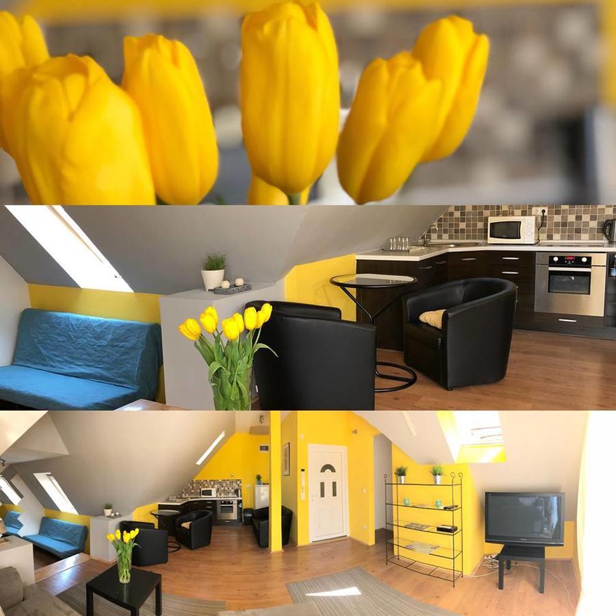 Tulipan Villa Panzio Szolnok Ngoại thất bức ảnh