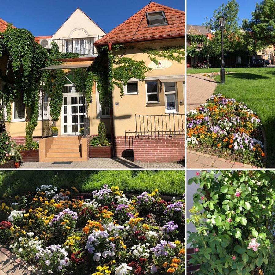 Tulipan Villa Panzio Szolnok Ngoại thất bức ảnh